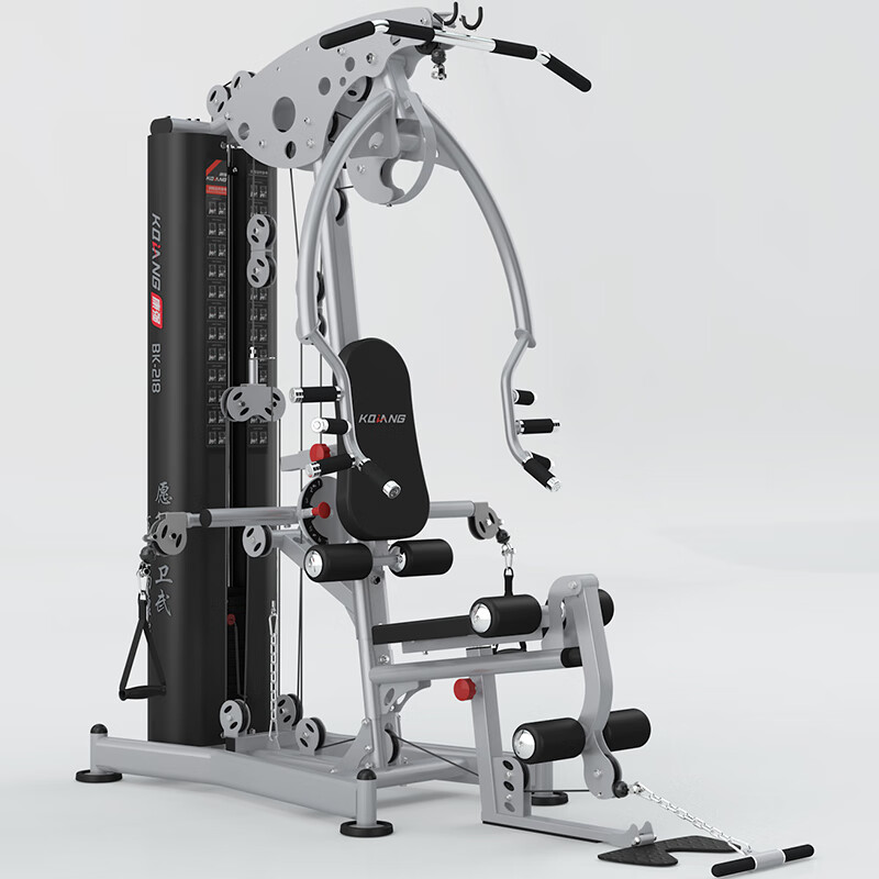 leyu.乐鱼 综合训练器单人站218多功能运动力量健身器材 218单人站