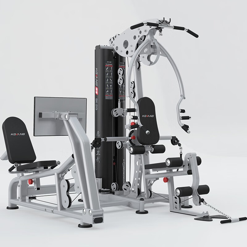 leyu.乐鱼 综合训练器两人站219多功能运动力量健身器材 219两人站