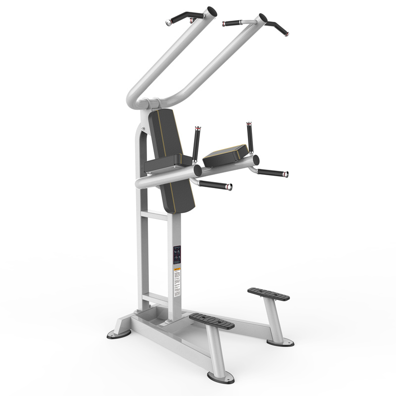 leyu.乐鱼单双杆训练架8219商用健身器材健身房团购综合训练器