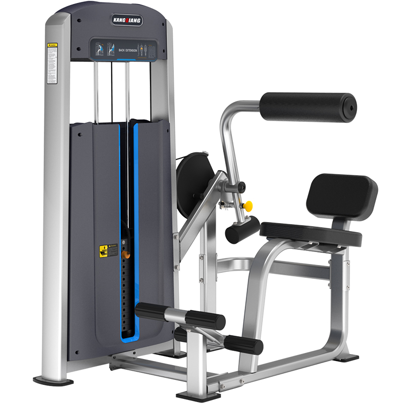 leyu.乐鱼商用健身器材健身房专用 1010背部伸展训练器