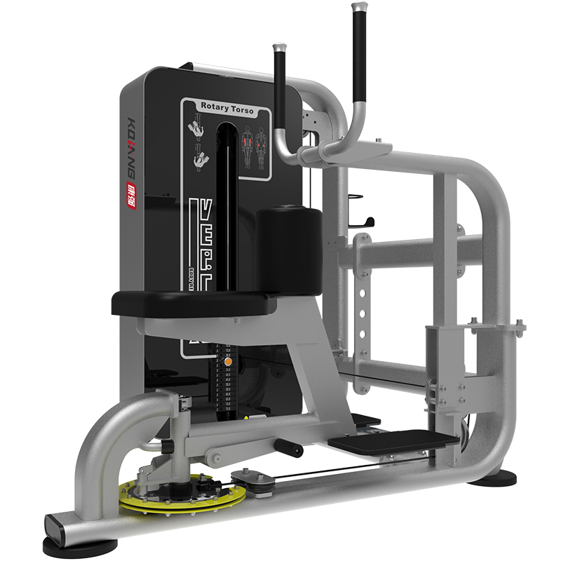 leyu.乐鱼GT系列综合训练器家用商用扭腰训练器GT175